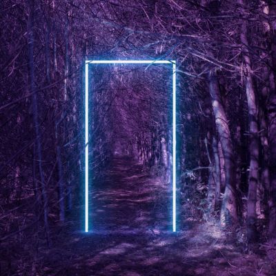 An illuminated rectangle in the middle of a forest